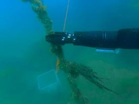 Saab Seaeye猎鹰Falcon水下垃圾清理