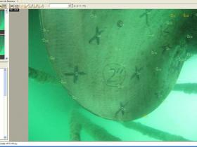 螺旋桨推进器叶轮高精度3D检测