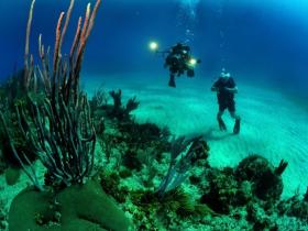 如何选择一台水下相机?