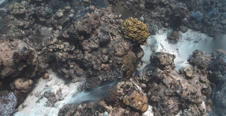 水下摄影测量